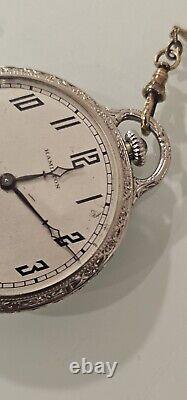 14K Gold Masonic Hamilton 23J Pocket watch Wadsworth Case withgold Chain &