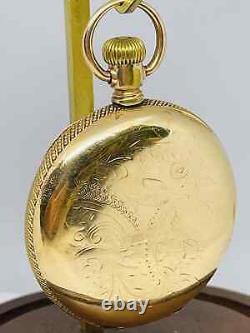 Hard 2 Find Private Label 1899 Hamilton 16S 16J Grade 976 Pocket Watch Runs